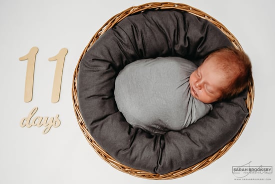 Newborn photography studio Norwich Norfolk Suffolk, newborn baby photography Norwich Norfolk Suffolk