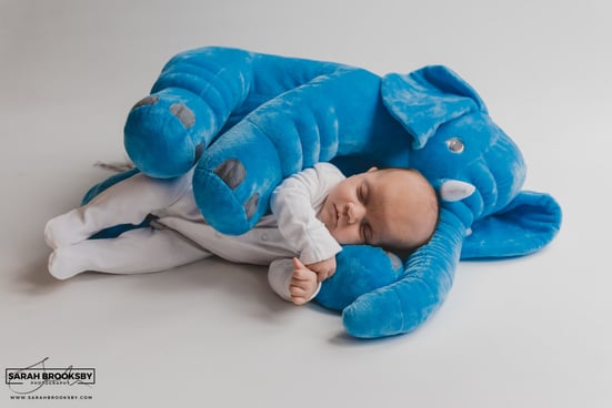 Newborn photography studio Norwich Norfolk Suffolk, newborn baby photography Norwich Norfolk Suffolk