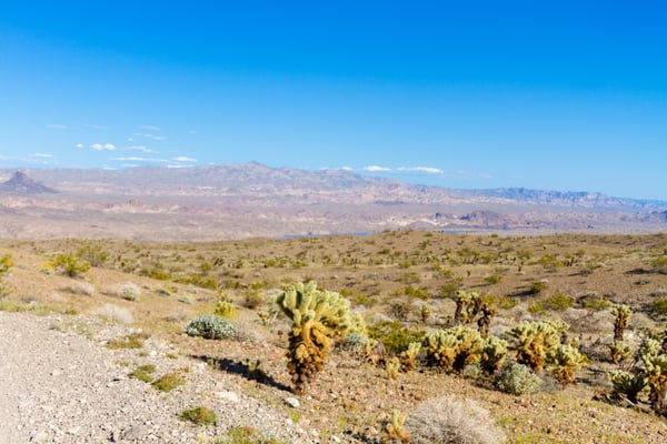 desert dirt road with colorado river in the distance