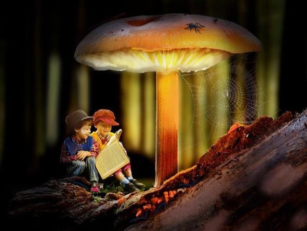 two boys reading under mushroom