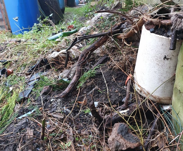 a trash pile in an allotment garden