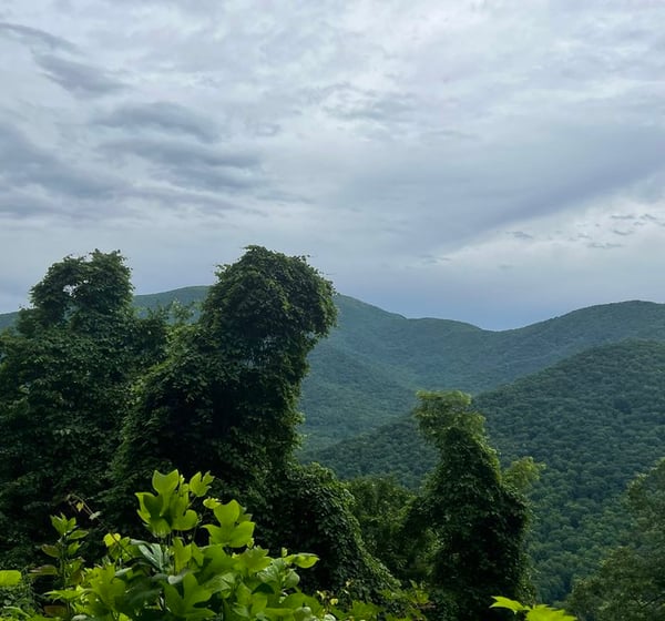 a mountain view of a mountain range with trees and mountains in the background