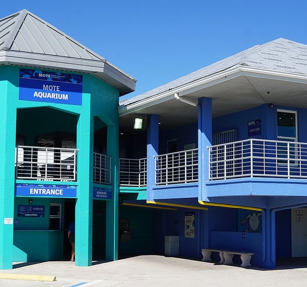 vacation rentals in siesta key