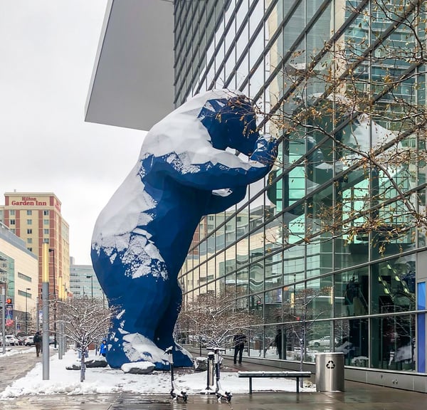 A big blue bear, curiosity