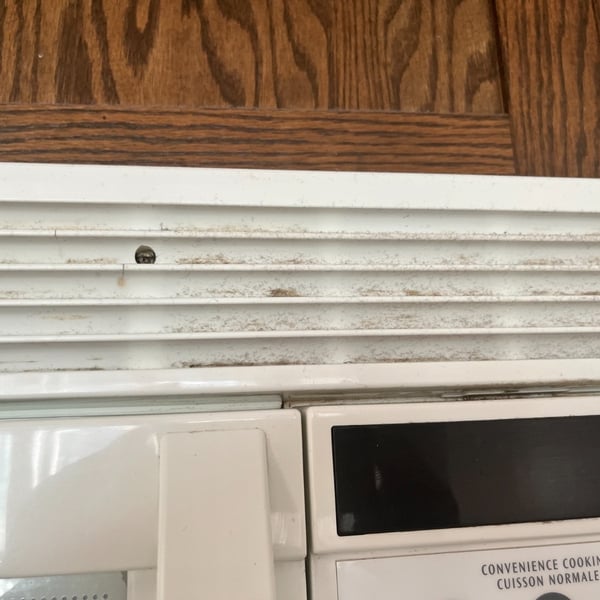 Post construction cleaning Toronto