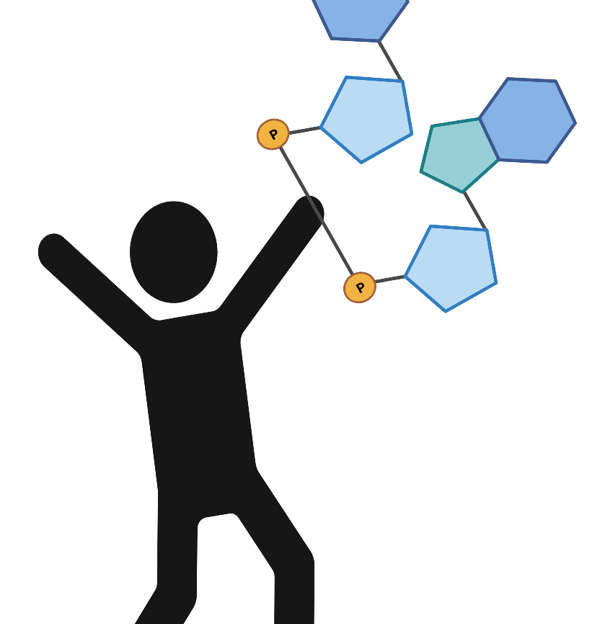 Metabolomics with Kuan Rong Chan lab