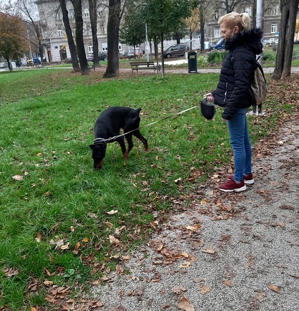 Šetnja pasa, Zagrebački duhek, Ares i Ivana