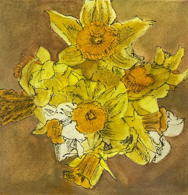 Daffodils in spring. watercolour and ink on cotton rag 200gsm