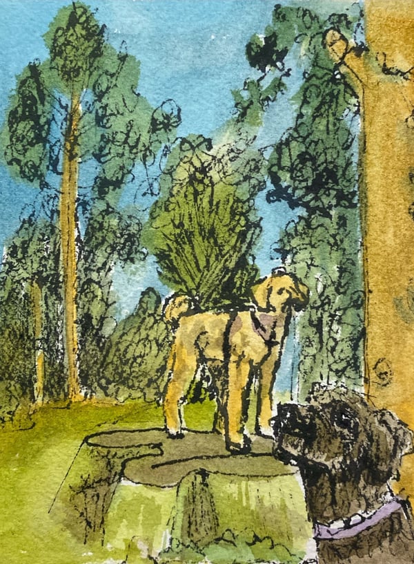 The Album Cover: Betty Bear's with Rosie, Watercolour and Ink on cotton rag
