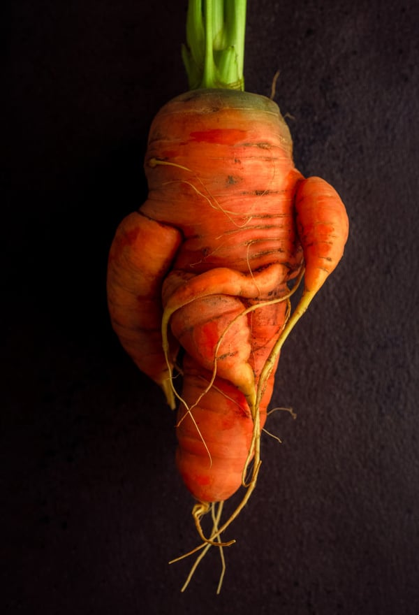 Misshapen orange carrot looking like a body with arms and legs