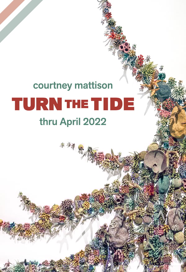 Courtney Mattison Turn the Tide Main Banner