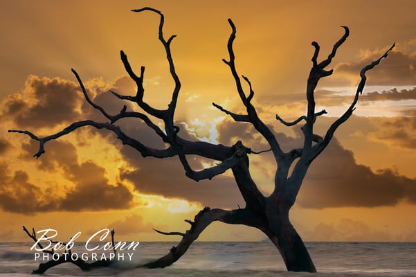 South Caolina Sunrise