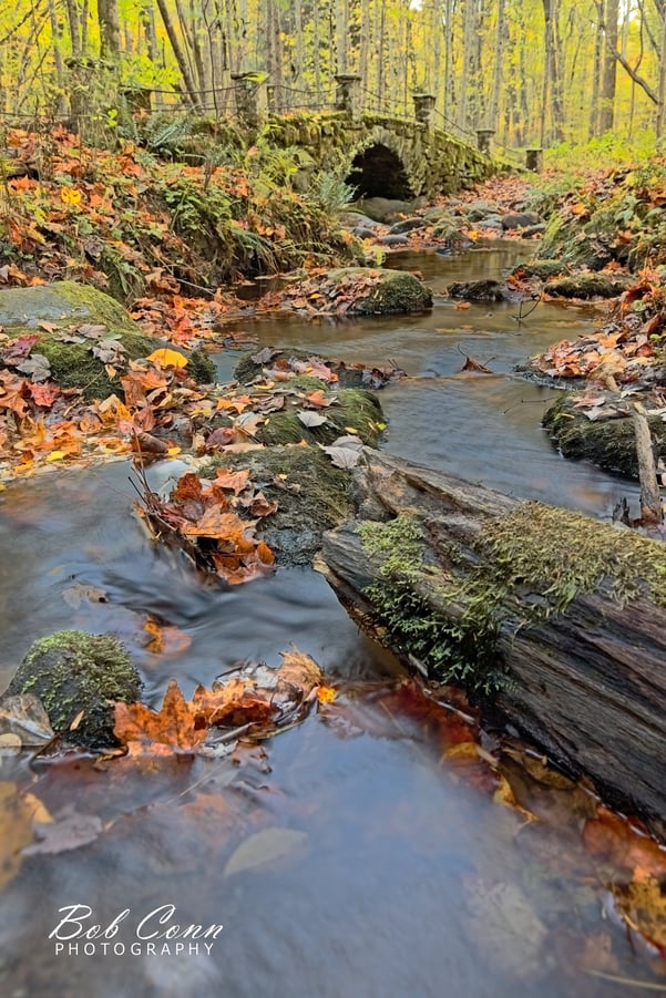 Stone Bridge | Great Smoky Mountains National Park