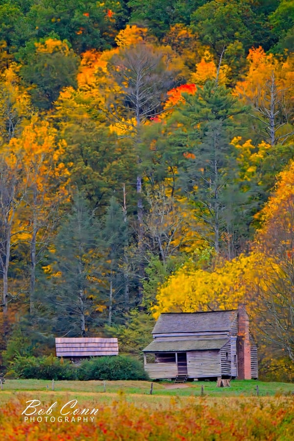 Autumn in the Great Smoky Mountains