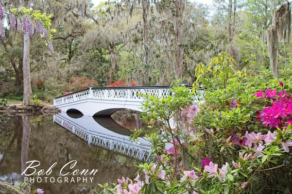 White Bridge in Magnolia Plantation Gardens