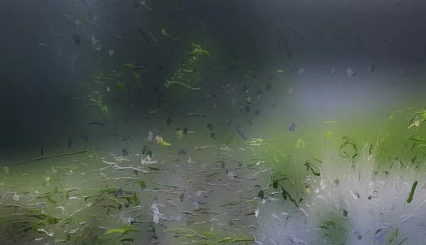 digital art, visual art, digital paintings, Joanna Wlaszyn