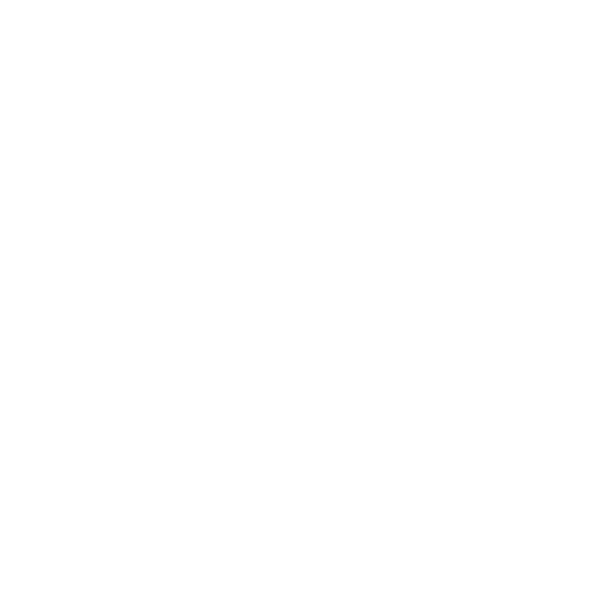 Graphic Designer with a Vision for your Brand logo