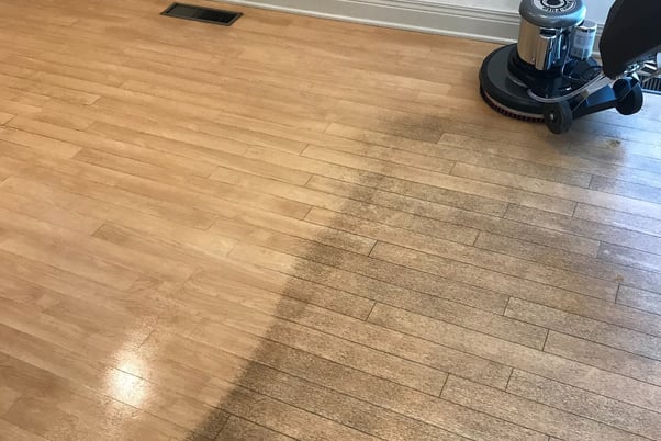 Floor Cleaning in Ormond Beach, Florida