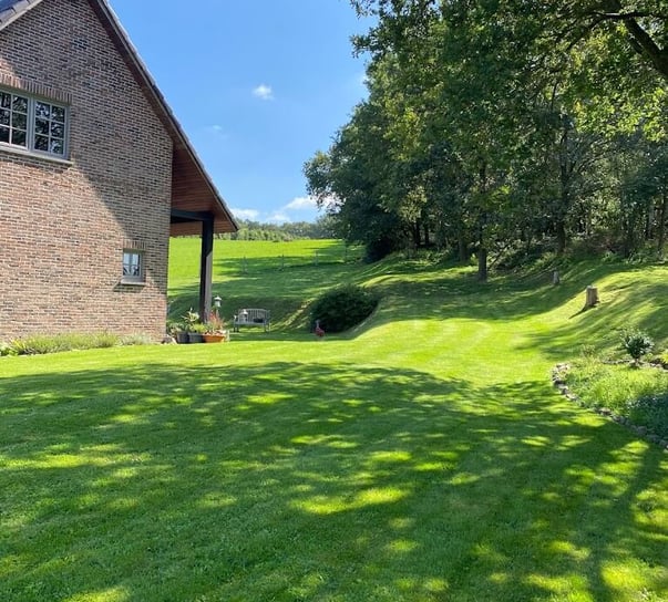 jardin vert avec herbe tondue