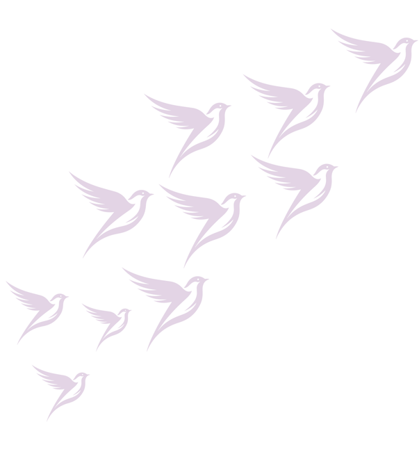 its group bird which represent brand udaan advertising agency for growth