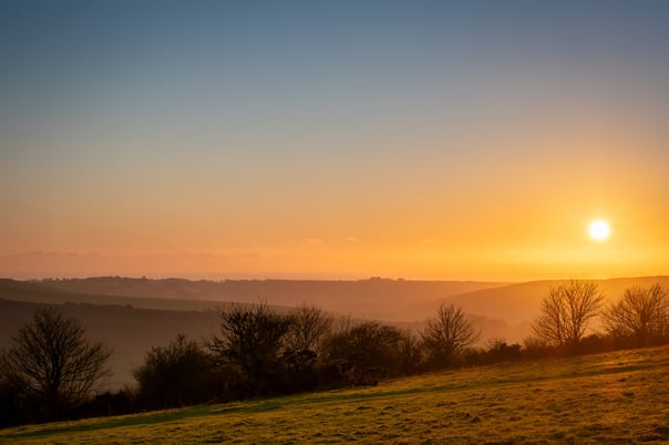 The sun sets over the south downs national park highlighting the silouhette of leafless trees 