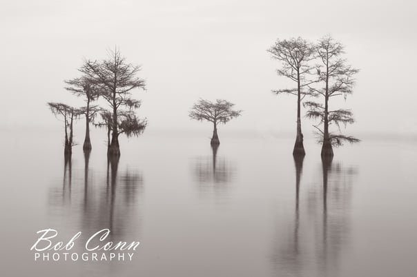 Fog covered lake