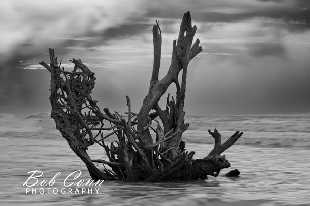 Shipwreck