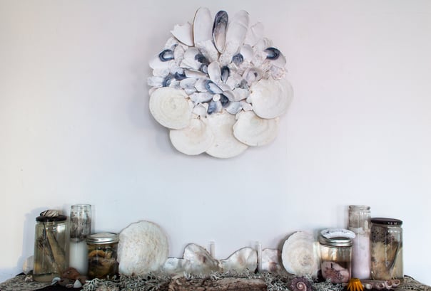 a seashell mandala above a shelf with more seashells