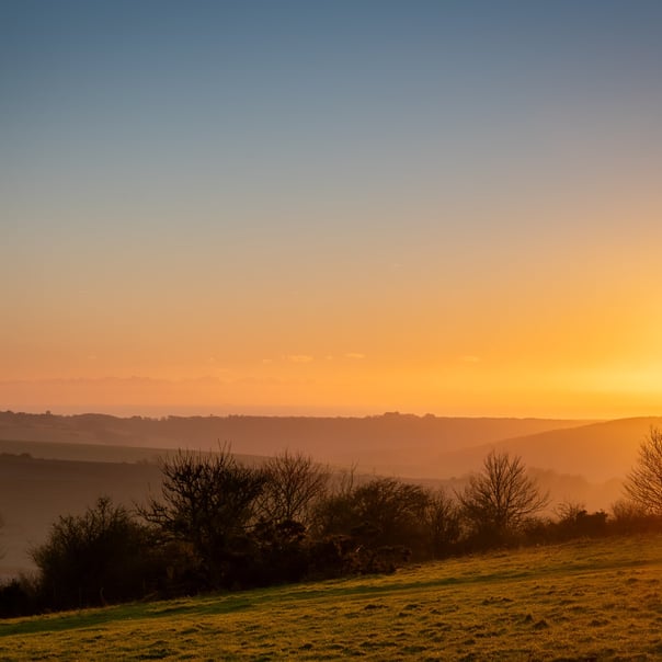 The sun sets over the south downs national park highlighting the silouhette of leafless trees 