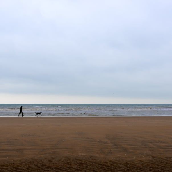 The silouhette of a man and his dog walking along the shoreline on a sandy beach