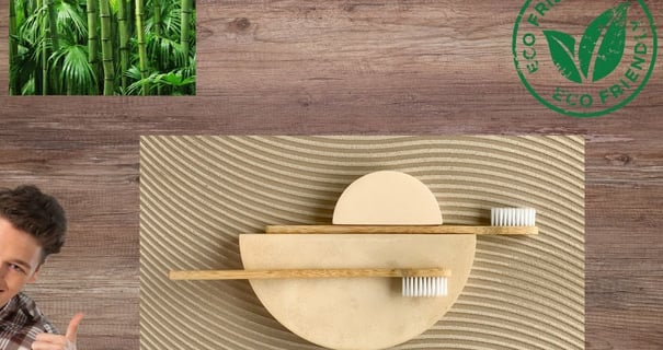 Bamboo toothbrushes, lush bamboo plants eco friendly symbol smiling man thumbs up