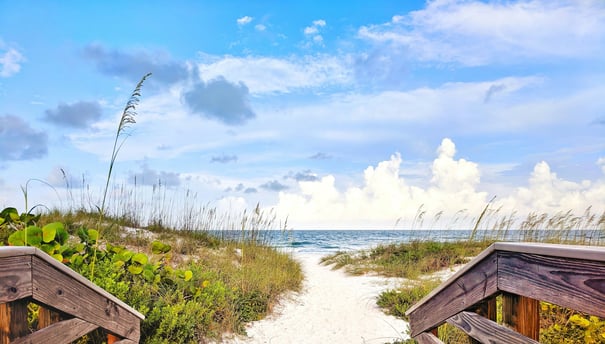 a path leading to the beach with a path leading to the beach