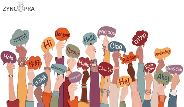 Multilingual communication and cultural adaptation in export trade