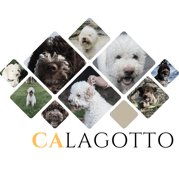 CALAGOTTO logo