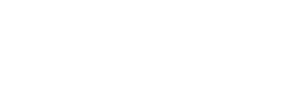 LightBridge Optronics logo