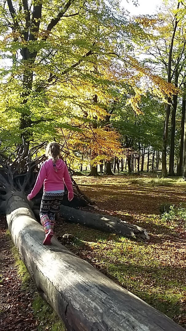 Trees