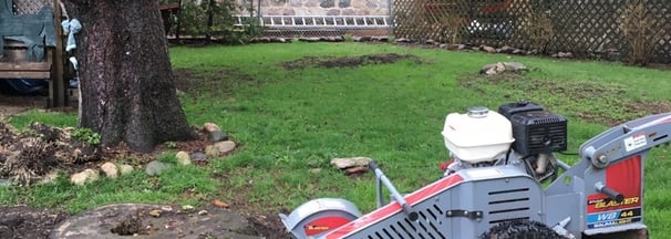 Residential  Stump Grinding Halifax