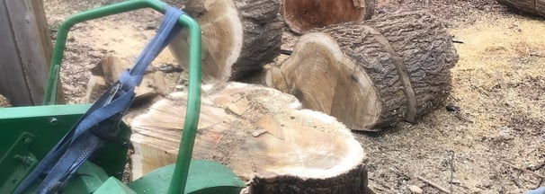 How stump grinding works