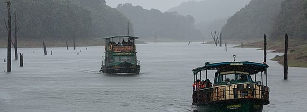 Forest boat ride Periyar - Kerala tour package