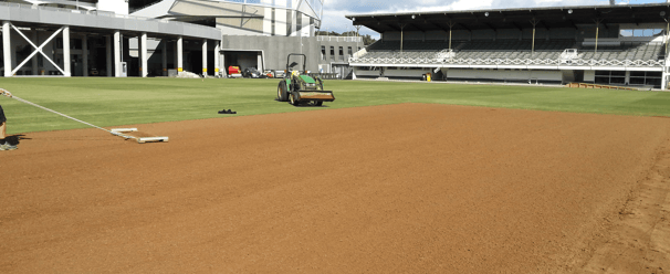 Cricket Wicket Renovation