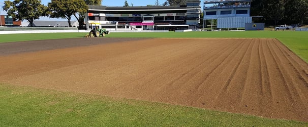 Cricket Wicket Renovation