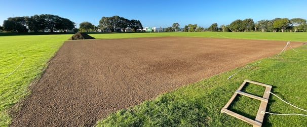 Cricket Wicket Renovation