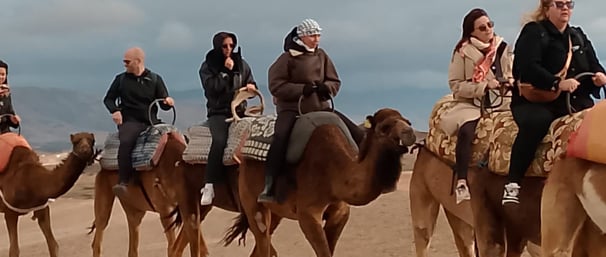 Group camel ride in the Agafay Desert near Marrakech