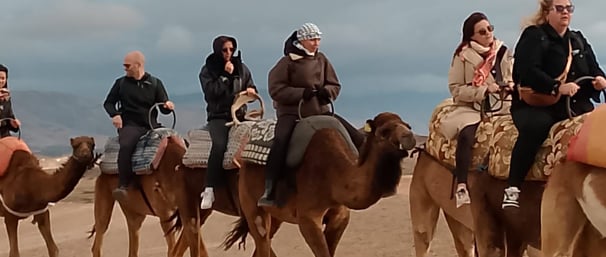 Group camel ride in the Agafay Desert near Marrakech