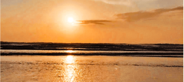Nestle Sahyadri Beachfront Homestay Murdeshwar