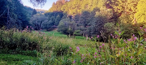 Weiltal im Sommer
