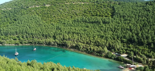 Gölköy Şoförlü Araç Kiralama