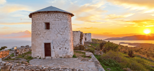 Gümbet Şoförlü Araç Kiralama