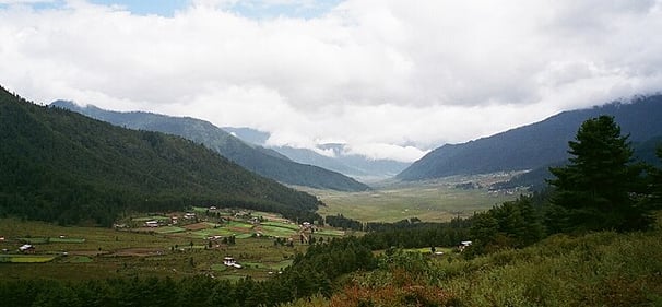 Gangtey natural trail - Bhutan tour package