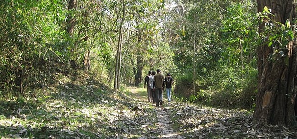 Trekking in Periyar - Kerala tour package